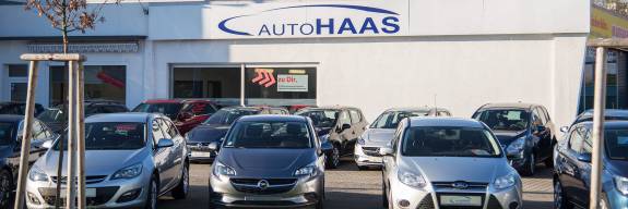 WIR STELLEN UNS VOR ...